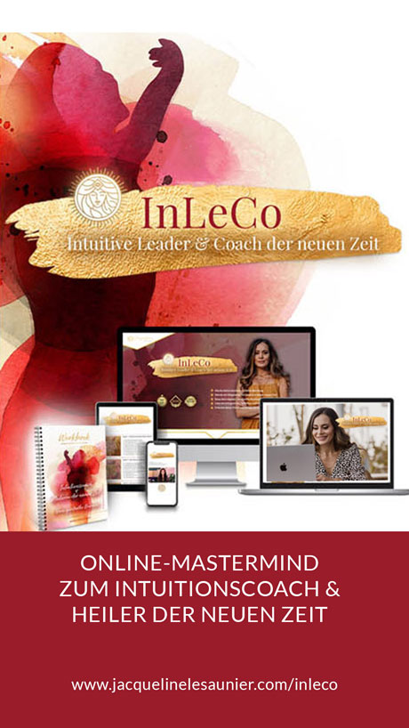 Hochkantbanner des Online-Programms