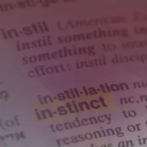 Instinkt als Teil unserer Intuition