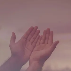 5 Schritte Intuitions Programm - Schritt 3: Empfangsbereitschaft