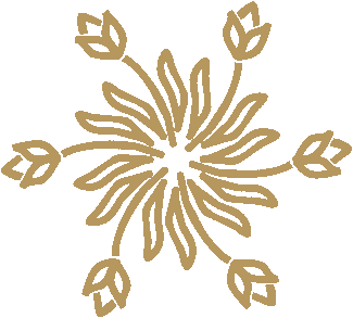 Schamanische Intuitionsreise Nicaragua - Symbol: Ayahuasca-Zeremonie