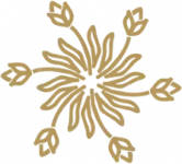 Intuitive Leaderin und Coach der neuen Zeit - Modul-6 - Intuitive Energy Healing - Symbol